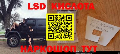 стаф Кунгур