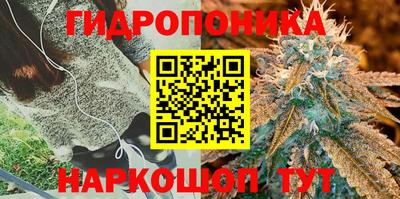 ECSTASY Кумертау