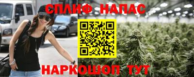 стаф Кунгур
