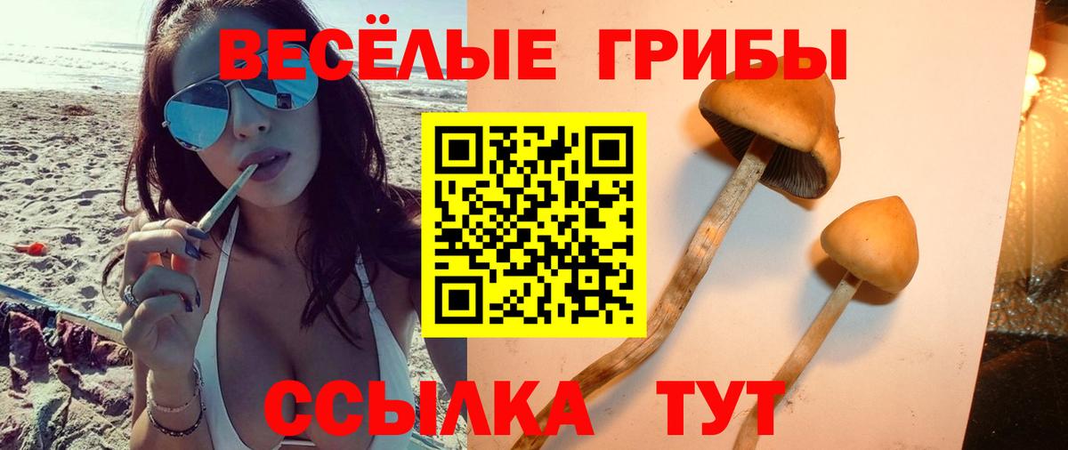 Псилоцибиновые грибы MAGIC MUSHROOMS  Вход с VPN  Коркино  Галлюциногенные грибы ЛСД 